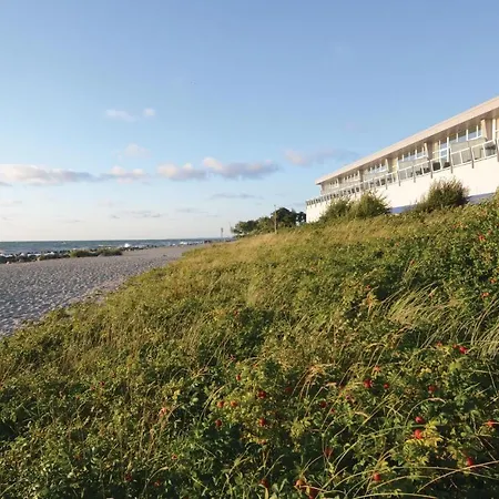 Seestern A Schönhagen