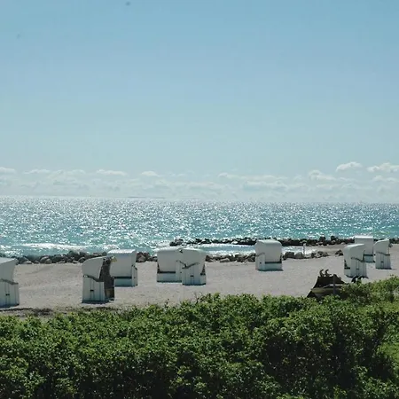 Seestern A